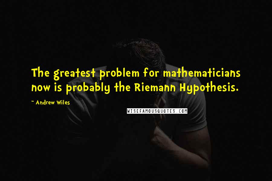 Andrew Wiles Quotes: The greatest problem for mathematicians now is probably the Riemann Hypothesis.