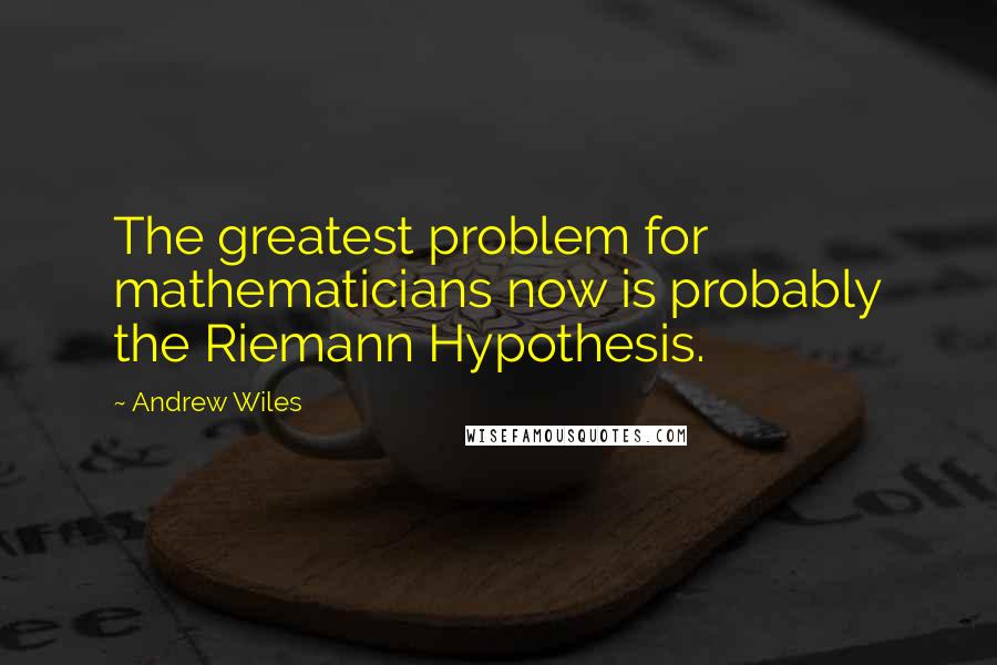 Andrew Wiles Quotes: The greatest problem for mathematicians now is probably the Riemann Hypothesis.