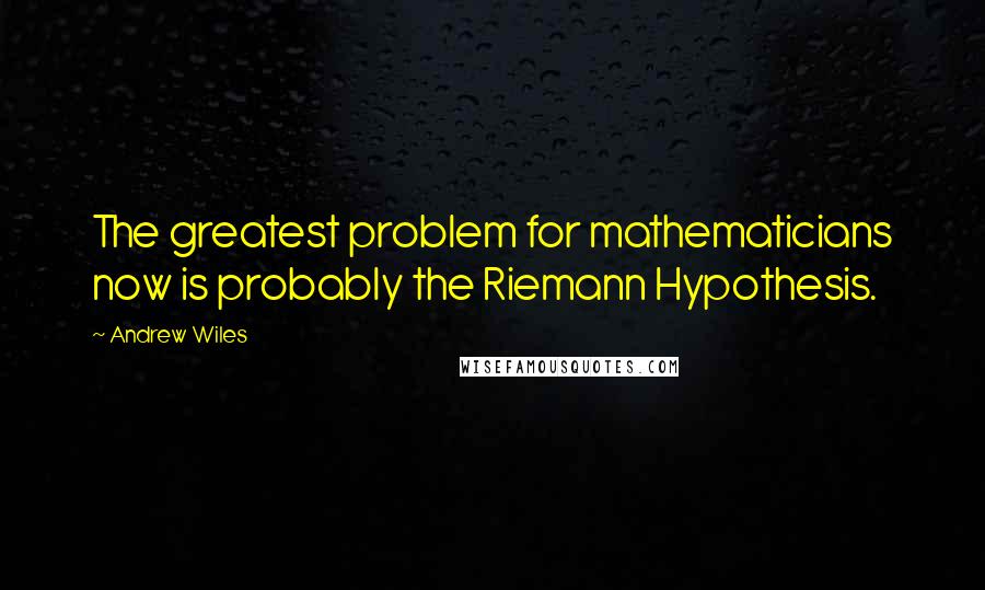 Andrew Wiles Quotes: The greatest problem for mathematicians now is probably the Riemann Hypothesis.