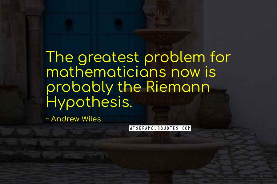 Andrew Wiles Quotes: The greatest problem for mathematicians now is probably the Riemann Hypothesis.