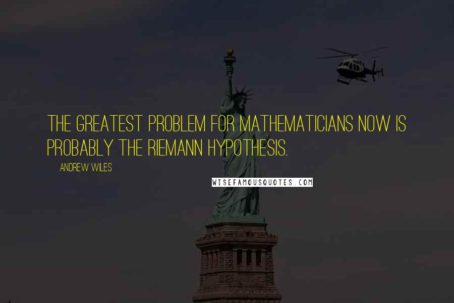 Andrew Wiles Quotes: The greatest problem for mathematicians now is probably the Riemann Hypothesis.