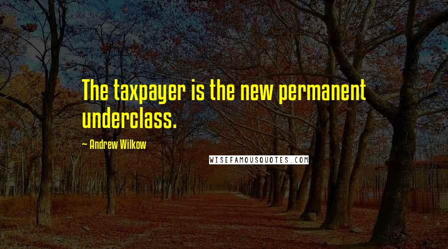 Andrew Wilkow Quotes: The taxpayer is the new permanent underclass.