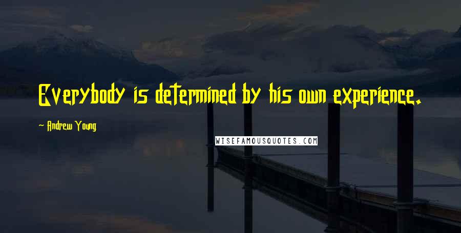 Andrew Young Quotes: Everybody is determined by his own experience.