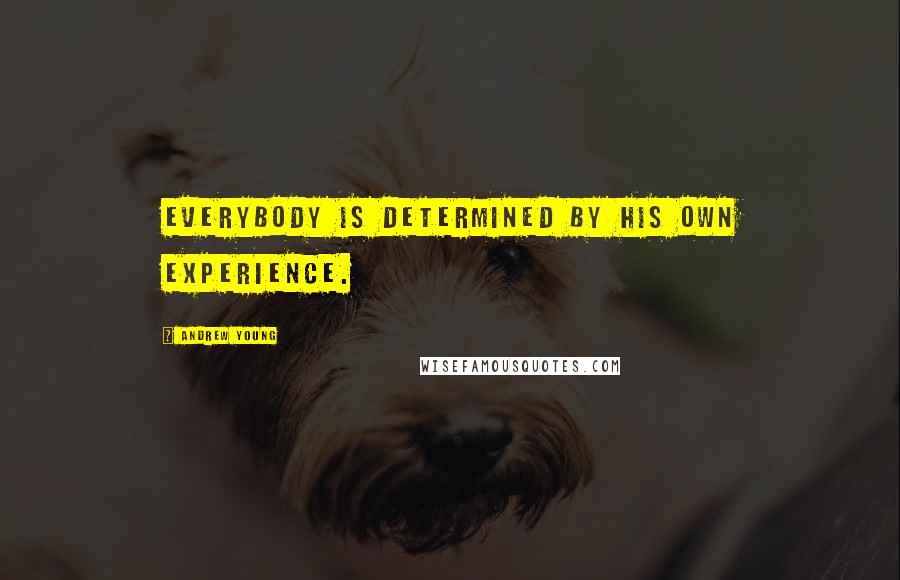Andrew Young Quotes: Everybody is determined by his own experience.