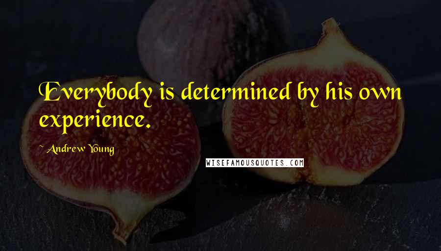 Andrew Young Quotes: Everybody is determined by his own experience.