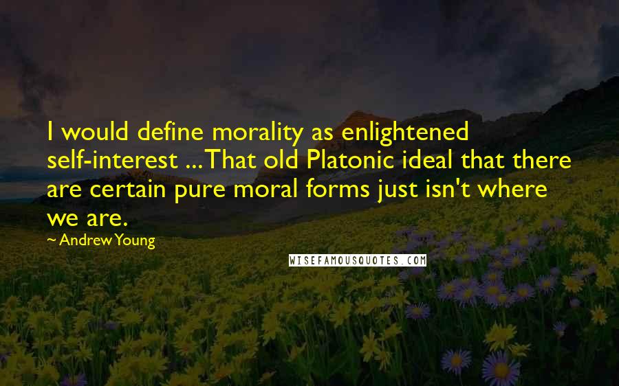 Andrew Young Quotes: I would define morality as enlightened self-interest ... That old Platonic ideal that there are certain pure moral forms just isn't where we are.