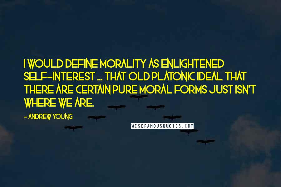 Andrew Young Quotes: I would define morality as enlightened self-interest ... That old Platonic ideal that there are certain pure moral forms just isn't where we are.