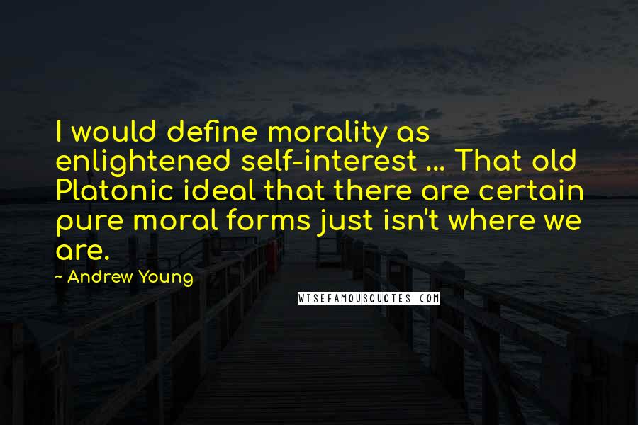 Andrew Young Quotes: I would define morality as enlightened self-interest ... That old Platonic ideal that there are certain pure moral forms just isn't where we are.