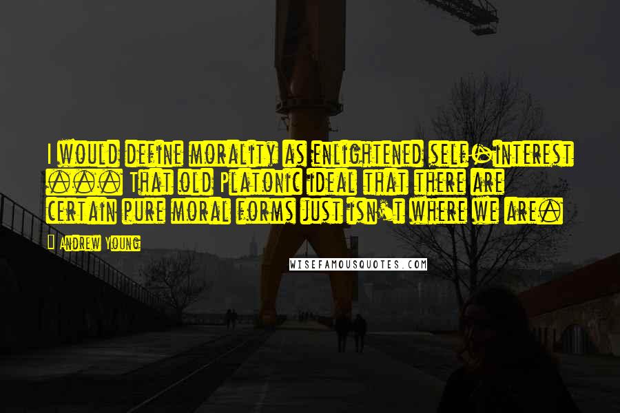 Andrew Young Quotes: I would define morality as enlightened self-interest ... That old Platonic ideal that there are certain pure moral forms just isn't where we are.