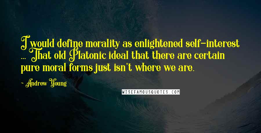 Andrew Young Quotes: I would define morality as enlightened self-interest ... That old Platonic ideal that there are certain pure moral forms just isn't where we are.