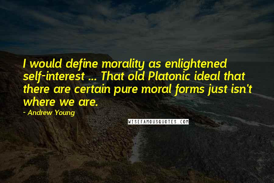 Andrew Young Quotes: I would define morality as enlightened self-interest ... That old Platonic ideal that there are certain pure moral forms just isn't where we are.