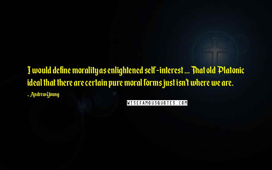 Andrew Young Quotes: I would define morality as enlightened self-interest ... That old Platonic ideal that there are certain pure moral forms just isn't where we are.