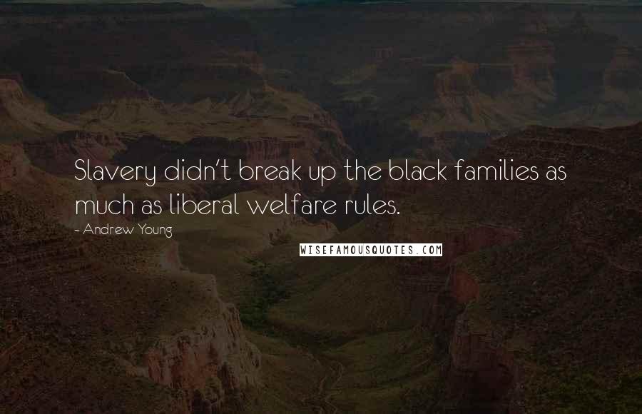 Andrew Young Quotes: Slavery didn't break up the black families as much as liberal welfare rules.