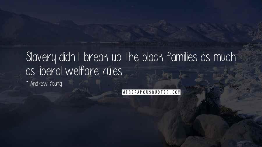 Andrew Young Quotes: Slavery didn't break up the black families as much as liberal welfare rules.