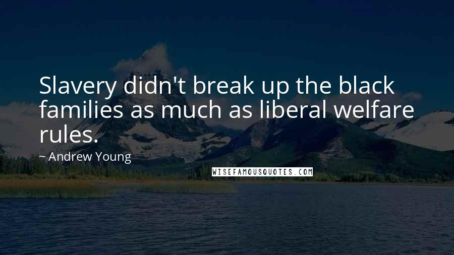 Andrew Young Quotes: Slavery didn't break up the black families as much as liberal welfare rules.
