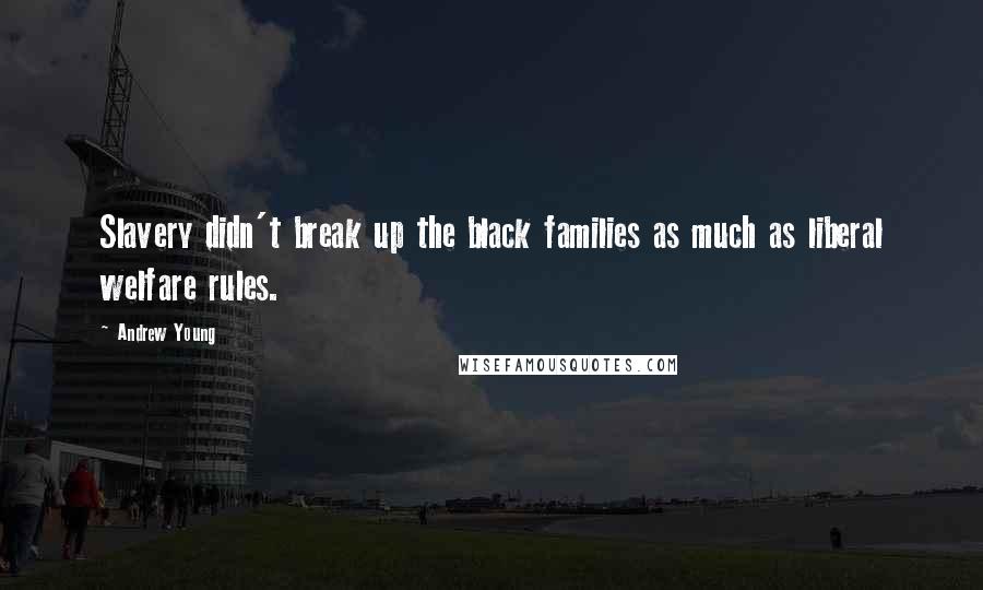 Andrew Young Quotes: Slavery didn't break up the black families as much as liberal welfare rules.