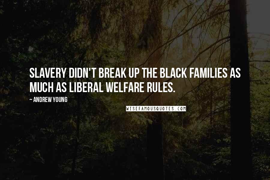 Andrew Young Quotes: Slavery didn't break up the black families as much as liberal welfare rules.