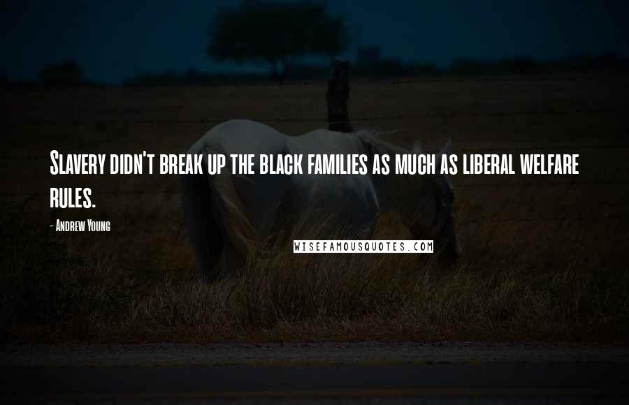 Andrew Young Quotes: Slavery didn't break up the black families as much as liberal welfare rules.