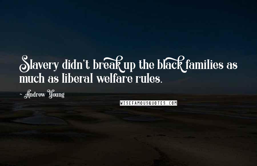 Andrew Young Quotes: Slavery didn't break up the black families as much as liberal welfare rules.
