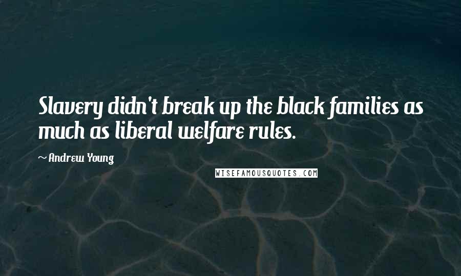 Andrew Young Quotes: Slavery didn't break up the black families as much as liberal welfare rules.