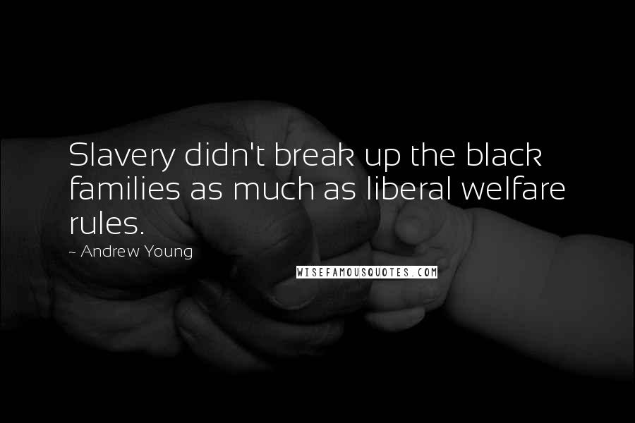 Andrew Young Quotes: Slavery didn't break up the black families as much as liberal welfare rules.