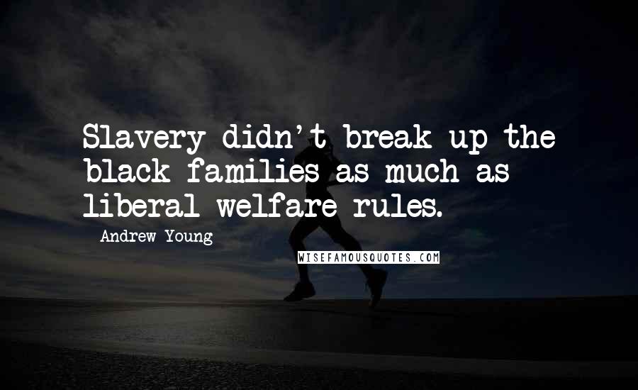 Andrew Young Quotes: Slavery didn't break up the black families as much as liberal welfare rules.