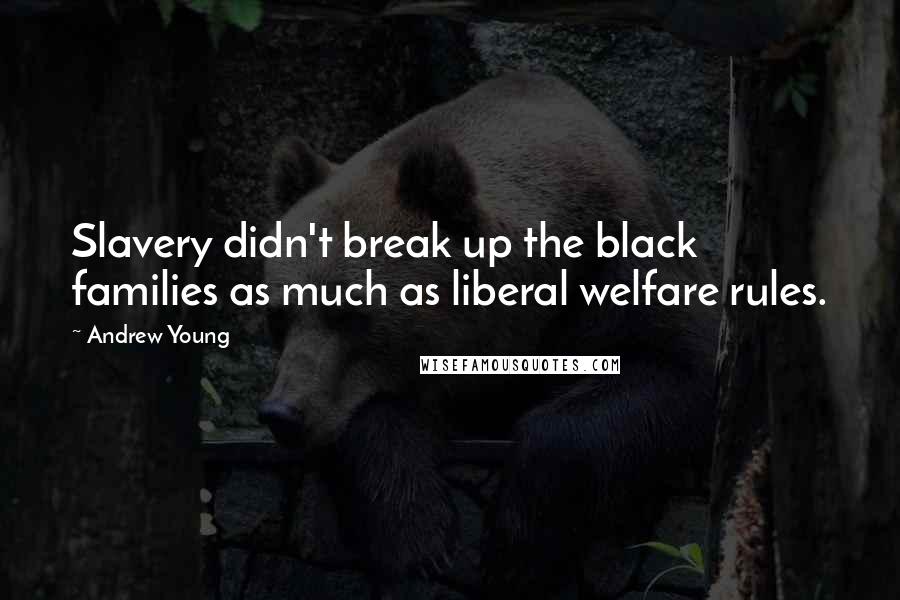 Andrew Young Quotes: Slavery didn't break up the black families as much as liberal welfare rules.