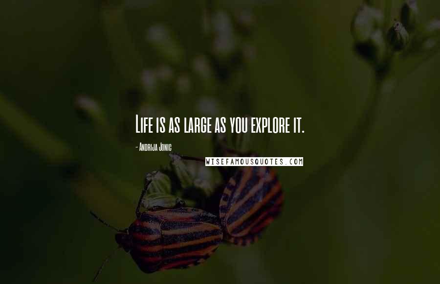 Andrija Jonic Quotes: Life is as large as you explore it.