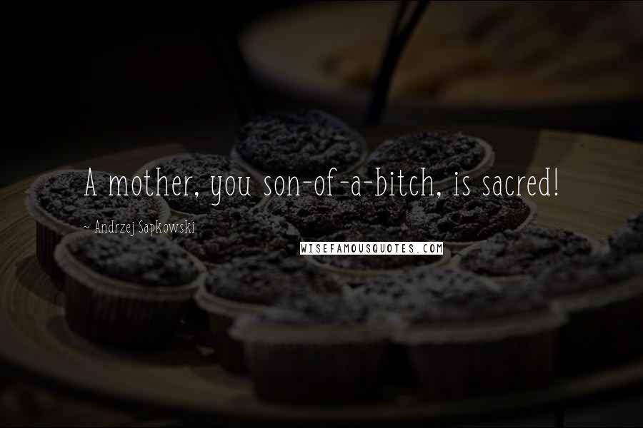 Andrzej Sapkowski Quotes: A mother, you son-of-a-bitch, is sacred!