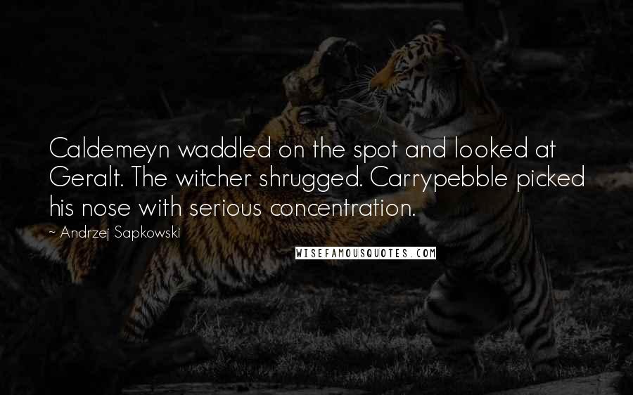 Andrzej Sapkowski Quotes: Caldemeyn waddled on the spot and looked at Geralt. The witcher shrugged. Carrypebble picked his nose with serious concentration.
