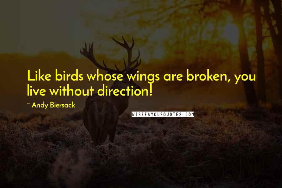 Andy Biersack Quotes: Like birds whose wings are broken, you live without direction!