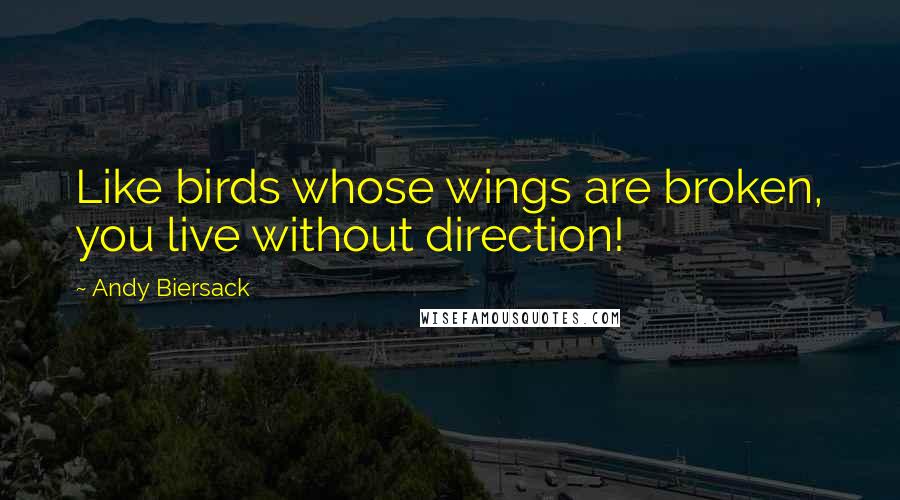 Andy Biersack Quotes: Like birds whose wings are broken, you live without direction!