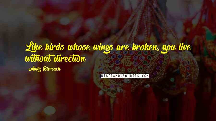 Andy Biersack Quotes: Like birds whose wings are broken, you live without direction!