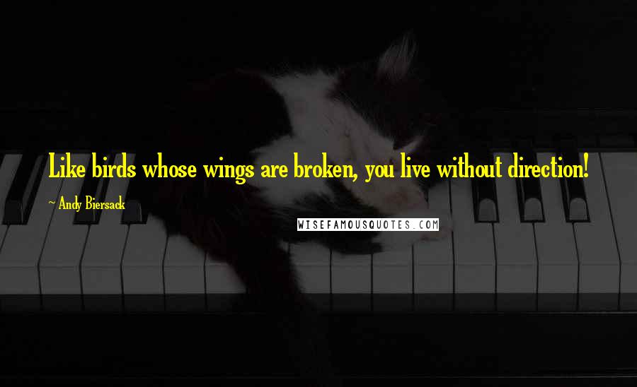 Andy Biersack Quotes: Like birds whose wings are broken, you live without direction!