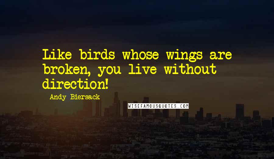 Andy Biersack Quotes: Like birds whose wings are broken, you live without direction!