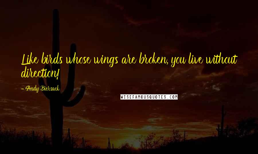 Andy Biersack Quotes: Like birds whose wings are broken, you live without direction!