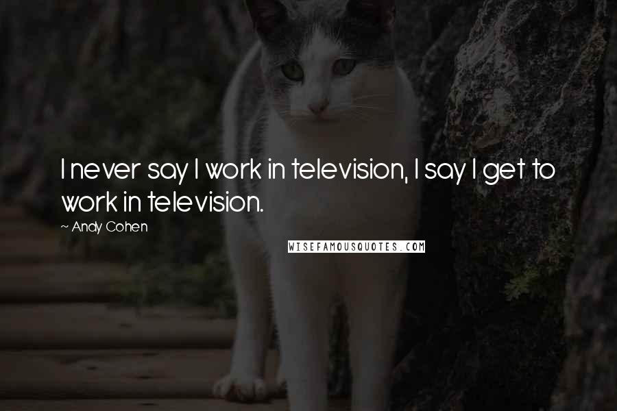 Andy Cohen Quotes: I never say I work in television, I say I get to work in television.