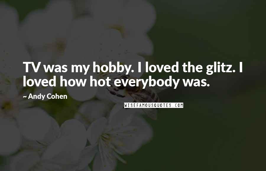 Andy Cohen Quotes: TV was my hobby. I loved the glitz. I loved how hot everybody was.