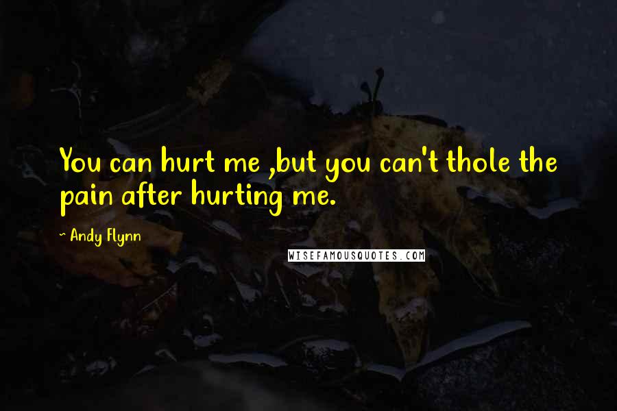 Andy Flynn Quotes: You can hurt me ,but you can't thole the pain after hurting me.