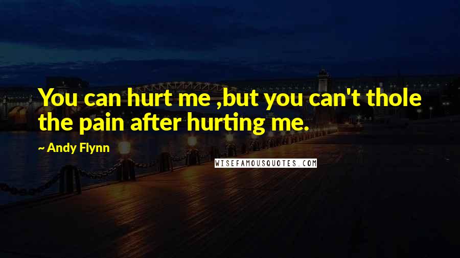 Andy Flynn Quotes: You can hurt me ,but you can't thole the pain after hurting me.