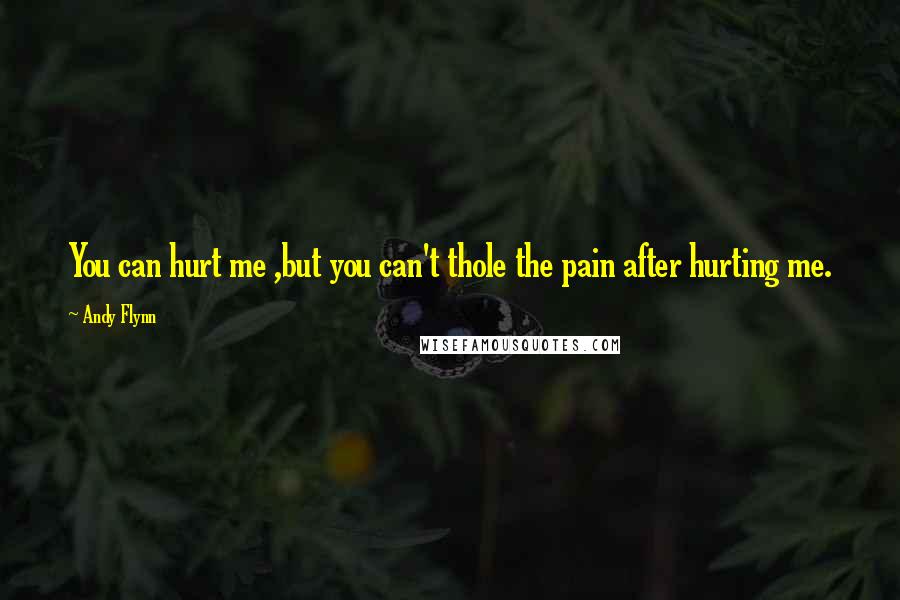 Andy Flynn Quotes: You can hurt me ,but you can't thole the pain after hurting me.