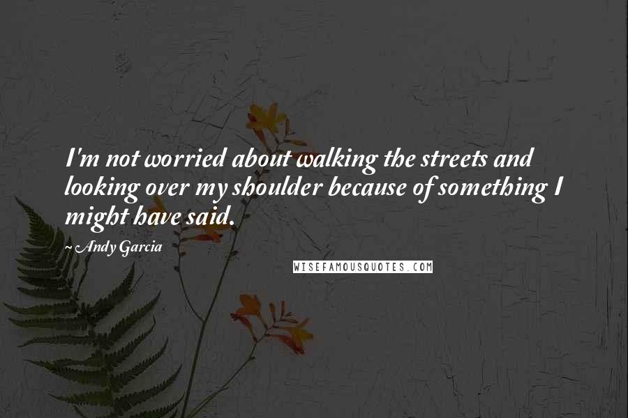 Andy Garcia Quotes: I'm not worried about walking the streets and looking over my shoulder because of something I might have said.