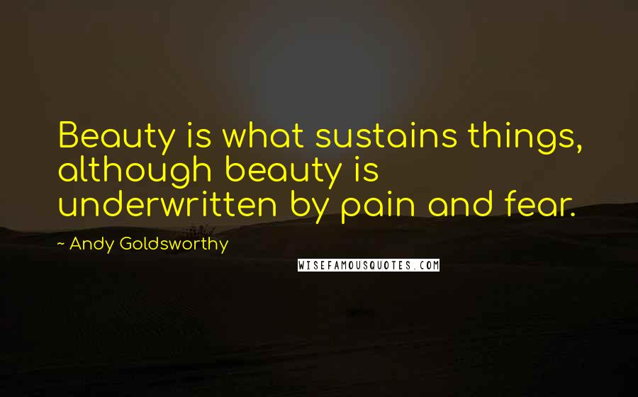 Andy Goldsworthy Quotes: Beauty is what sustains things, although beauty is underwritten by pain and fear.