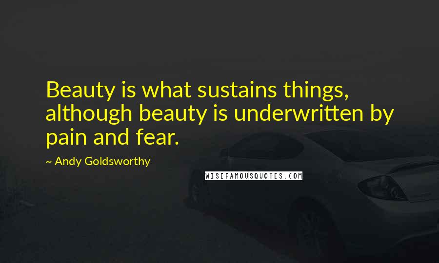 Andy Goldsworthy Quotes: Beauty is what sustains things, although beauty is underwritten by pain and fear.