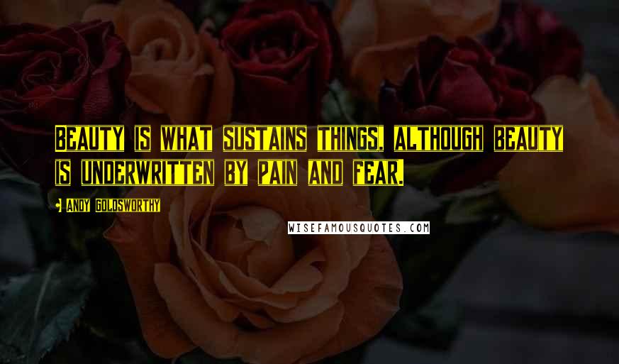 Andy Goldsworthy Quotes: Beauty is what sustains things, although beauty is underwritten by pain and fear.