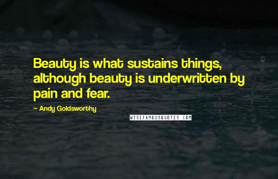 Andy Goldsworthy Quotes: Beauty is what sustains things, although beauty is underwritten by pain and fear.