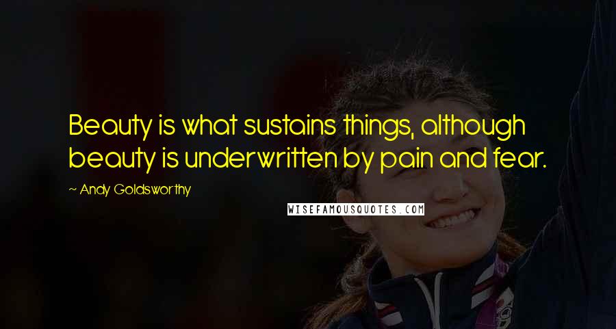 Andy Goldsworthy Quotes: Beauty is what sustains things, although beauty is underwritten by pain and fear.