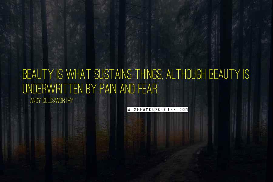 Andy Goldsworthy Quotes: Beauty is what sustains things, although beauty is underwritten by pain and fear.