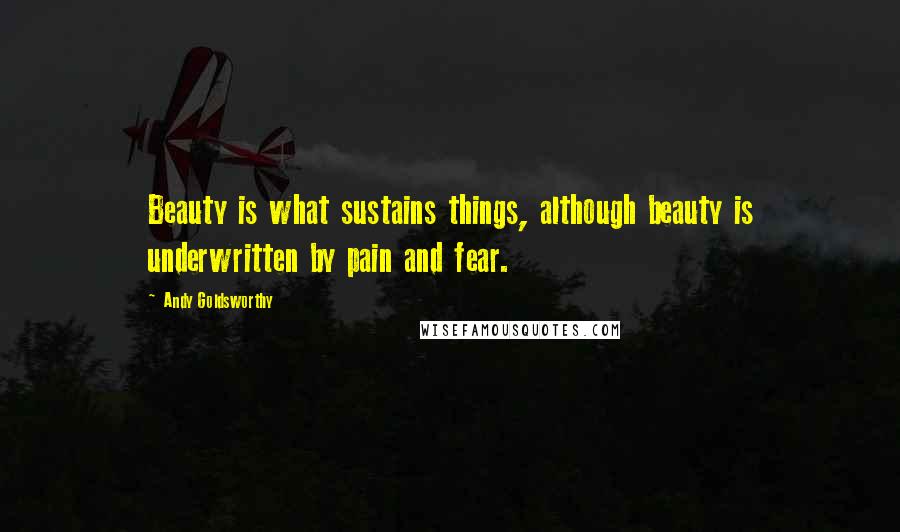 Andy Goldsworthy Quotes: Beauty is what sustains things, although beauty is underwritten by pain and fear.