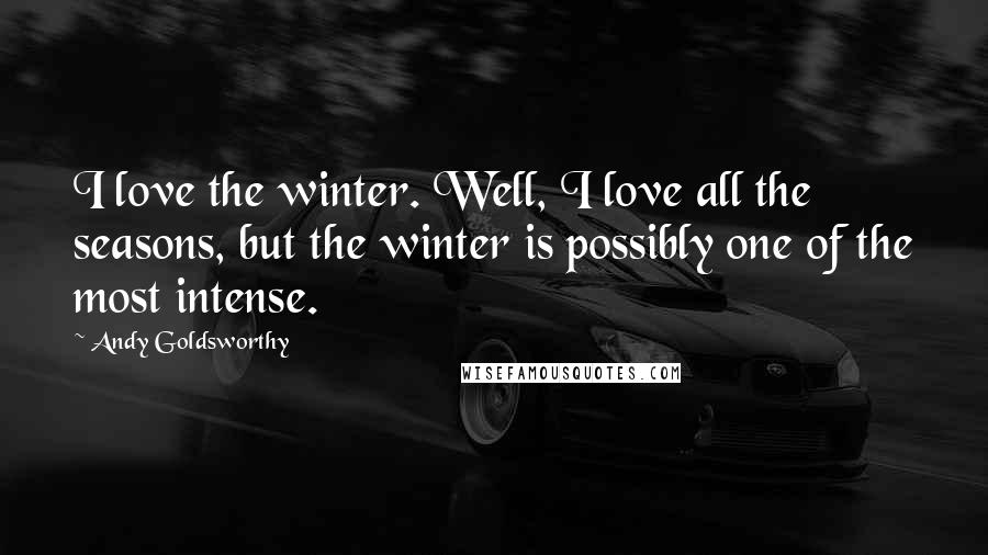 Andy Goldsworthy Quotes: I love the winter. Well, I love all the seasons, but the winter is possibly one of the most intense.